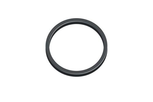 ARDEBO.de sera Dichtring für flore CO2 Aktiv-Reaktor 500 / 1000