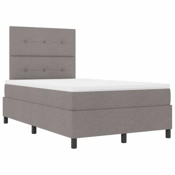 Boxspringbett mit Matratze & LED Taupe 120x190 cm Stoff