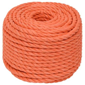 Arbeitsseil Orange 24 mm 25 m Polypropylen