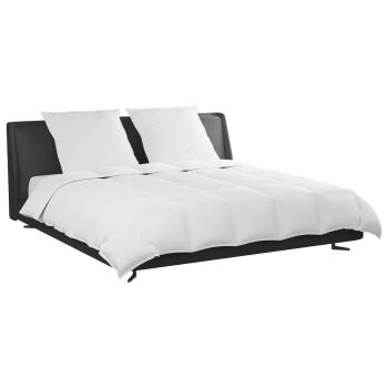 Bettdecke mit Kissen 3 pcs Weiß 240 x 200 cm Daunen