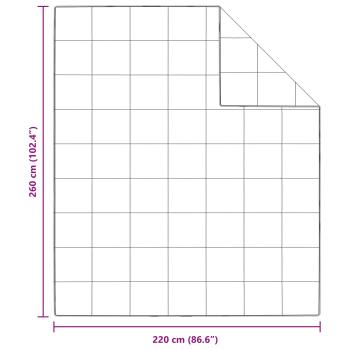 Bettdecke mit Kissen 3 pcs Weiß 260 x 220 cm Daunen