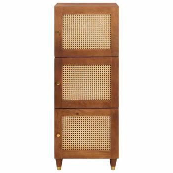 Medienlagerungsschränke & Regale mit Regal mit Speicher mit Tür Braun