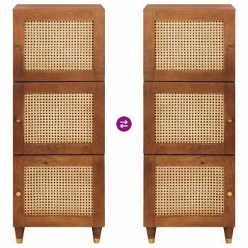 Medienlagerungsschränke & Regale mit Regal mit Speicher mit Tür Braun