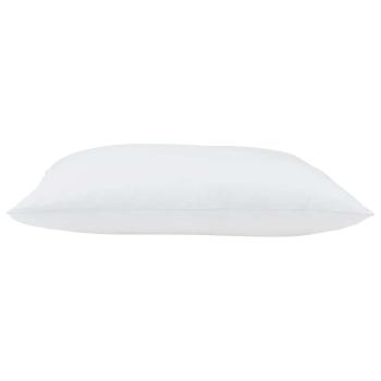 Kissen 2 pcs Weiß 30 x 50 cm