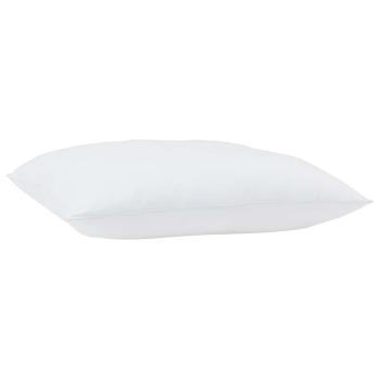 Kissen 2 pcs Weiß 50 x 50 cm