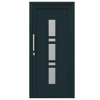 Haustür Anthrazit 108 x 208 cm PVC