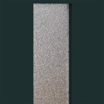 Haustür Anthrazit 98 x 208 cm PVC