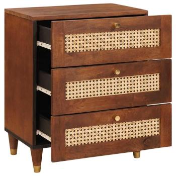Nachttische Braun Rattan und massives Mangoholz