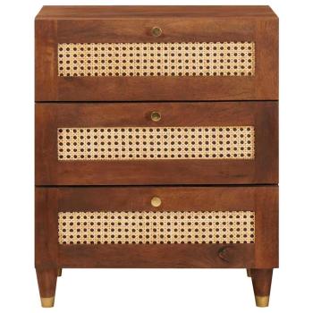 Nachttische Braun Rattan und massives Mangoholz