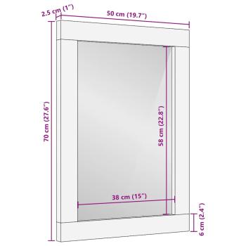 Spiegel Braun, Silber 50 x 2,5 x 70 cm Massives Mangoholz, Glas