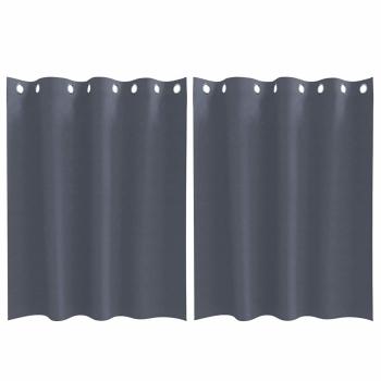 Vorhänge mit Vorhängen 2 pcs Anthrazit 140 x 140 cm Polyester