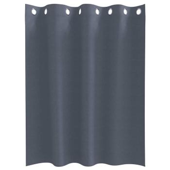 Vorhänge mit Vorhängen 2 pcs Anthrazit 140 x 140 cm Polyester