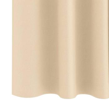 Vorhänge mit Vorhängen 2 pcs Creme 245 x 140 cm Polyester