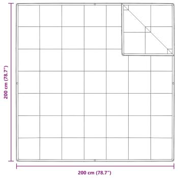 Decken & Bettdecken Weiß 200 x 200 cm Daunen