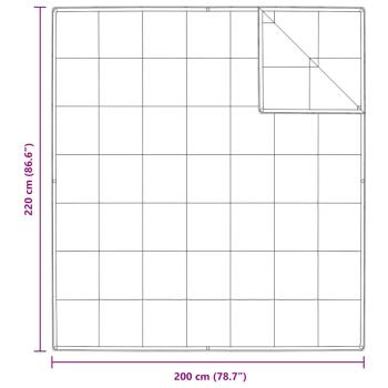 Decken & Bettdecken Weiß 200 x 220 cm Daunen