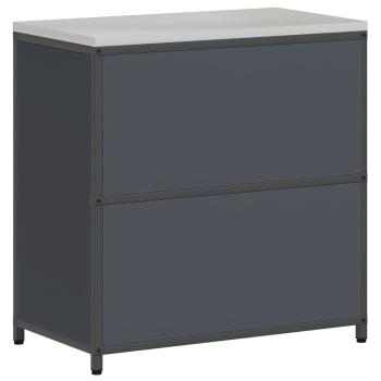 Küchenlagerregal mit Regal mit Speicher mit Tür Anthrazit 60 x 50 x 92 cm Stahl