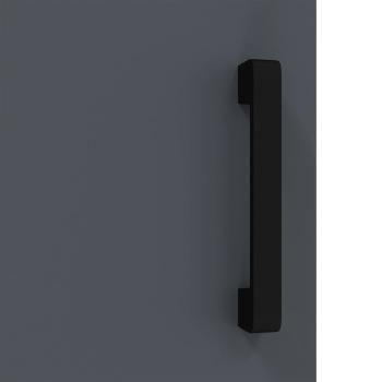 Küchenlagerregal mit Regal mit Speicher mit Tür Anthrazit 60 x 50 x 92 cm Stahl