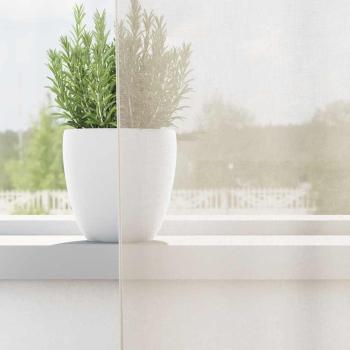 Voile Vorhänge mit Stangentaschen 2 Stk. Creme