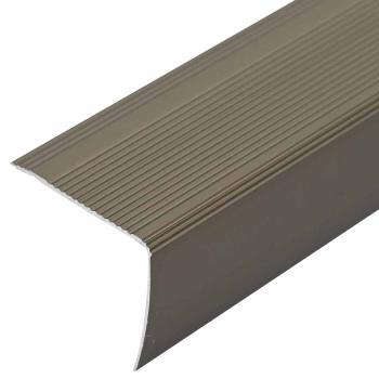 Treppe Nosing 10 pcs Champagner 67 cm Aluminium