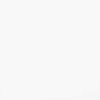 Balkon Sichtschutz Weiß 160 x 160 cm Stoff