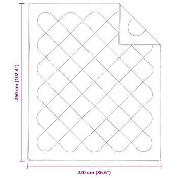 Decken & Bettdecken Weiß 260 x 220 cm Mikrofaser