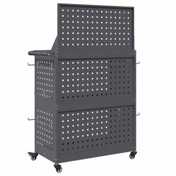 Werkzeugwagen mit Regal mit Rad mit Speicher Anthrazit 65 x 35 x 111 cm