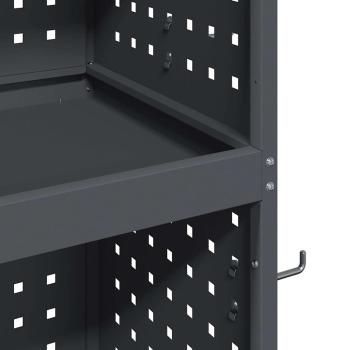 Werkzeugwagen mit Regal mit Rad mit Speicher Anthrazit 65 x 35 x 111 cm