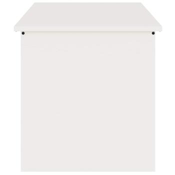 Außenlagerbox Weiß 100 x 50.5 x 50 cm Kaltgewalzter Stahl