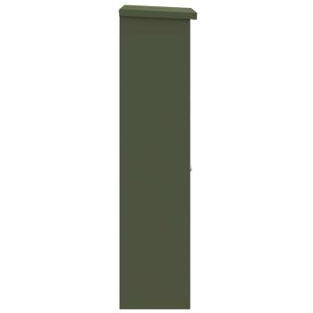 Paketdrop-Box Olivgrün 44,5 x 29 x 110,5 cm Stahl