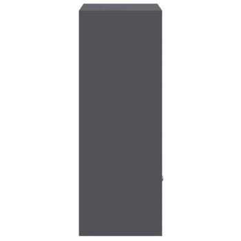 Paketdrop-Box Anthrazit 41 x 38 x 103 cm Stahl