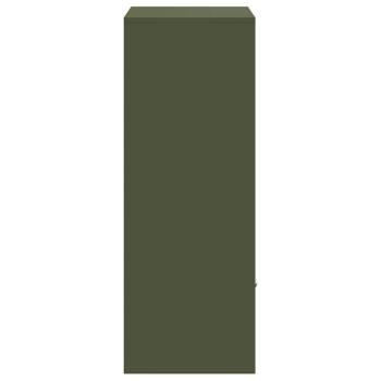 Paketdrop-Box Olivgrün 41 x 38 x 103 cm Stahl