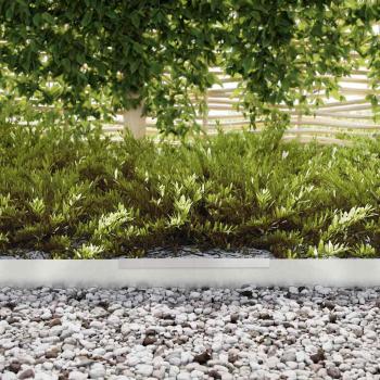 Rasenrand Silber 450 x 10 cm Edelstahl