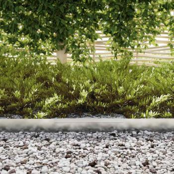 Rasenrand Silber 450 x 10 cm Verzinkter Stahl