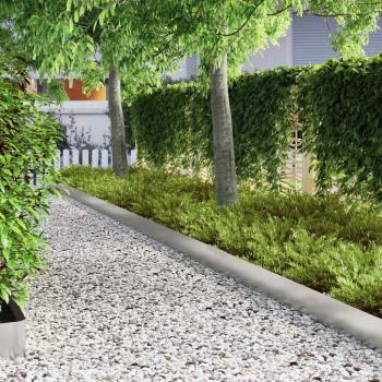 Rasenrand Silber 450 x 25 cm Verzinkter Stahl