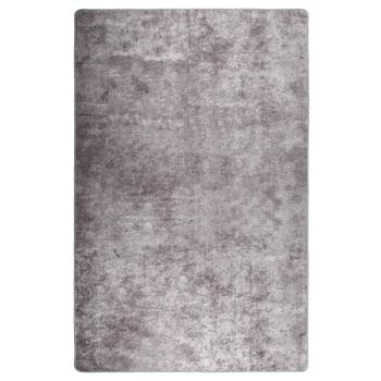 ARDEBO.de - Teppich Waschbar 80x150 cm Grau Rutschfest