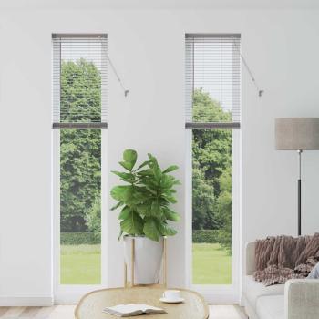 ARDEBO.de - Fenster Jalousie mit Vorhängen Sonstiges Silber 40 x 220 cm Aluminium