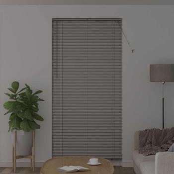 Fenster Jalousie mit Vorhängen Sonstiges Silber 100 x 220 cm Aluminium