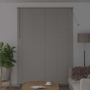 Fenster Jalousie mit Vorhängen Sonstiges Silber 160 x 220 cm Aluminium