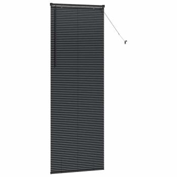 Fenster Jalousie mit Vorhängen Sonstiges Schwarz 80 x 220 cm Aluminium