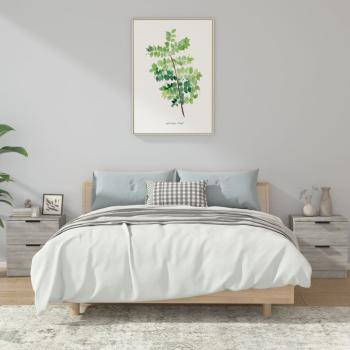 ARDEBO.de - Nachttische 2 Stk. Grau Sonoma Holzwerkstoff