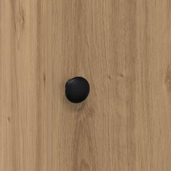 Küchenschrank mit Schubladen mit Regal mit Speicher mit Tür Eiche handwerklich Holzwerkstoff