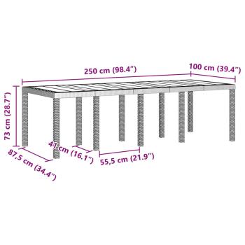 Garten Essgruppe 11 pcs Hellgrau 250 x 100 x 73 cm Poly-Rattan