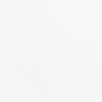 Vorhänge mit Vorhängen 2 pcs Helles Weiß Polyester