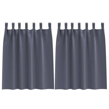 Vorhänge mit Vorhängen 2 pcs Anthrazit Polyester