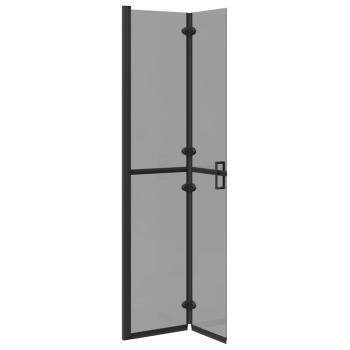 Walk-in Duschwand Schwarz und dunkel-transparent 80 x 190 cm