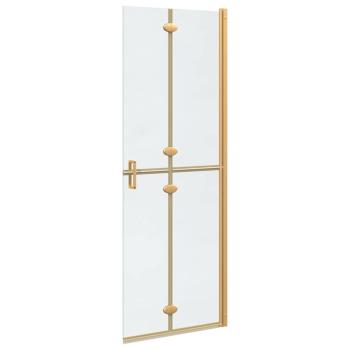 Walk-in Duschwand Sonstiges Golden und Transparent 70 x 190 cm