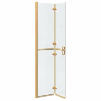 Walk-in Duschwand Sonstiges Golden und Transparent 80 x 190 cm