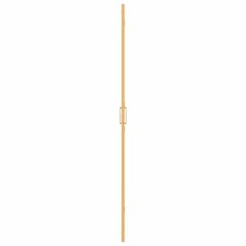 Walk-in Duschwand Sonstiges Golden und Transparent 80 x 190 cm