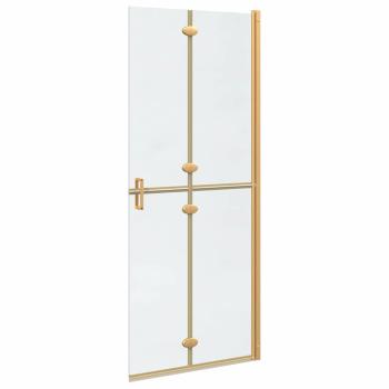 Walk-in Duschwand Sonstiges Golden und Transparent 80 x 190 cm