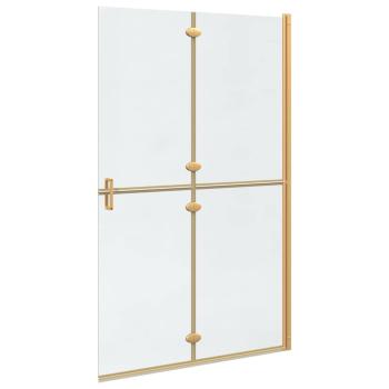 Walk-in Duschwand Sonstiges Golden und Transparent 120 x 190 cm
